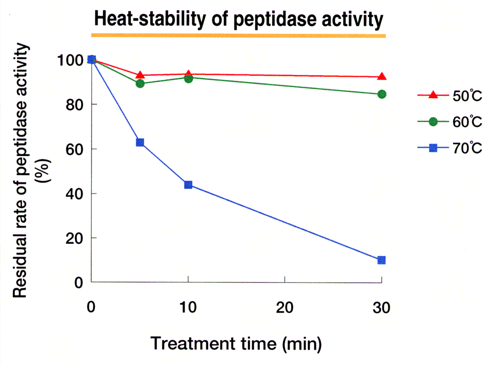 Heat-stability of peptidase activity